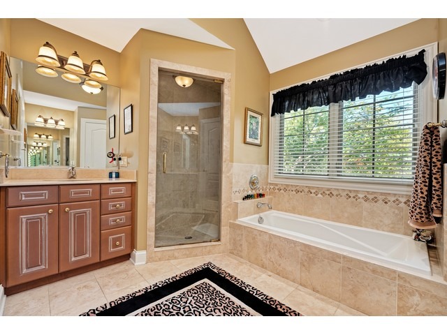 1415 Tyrell Avenue Park Ridge, IL 60068 - Photo 24 of 25 a bathroom with a granite countertop sink a mirror and a bathtub
