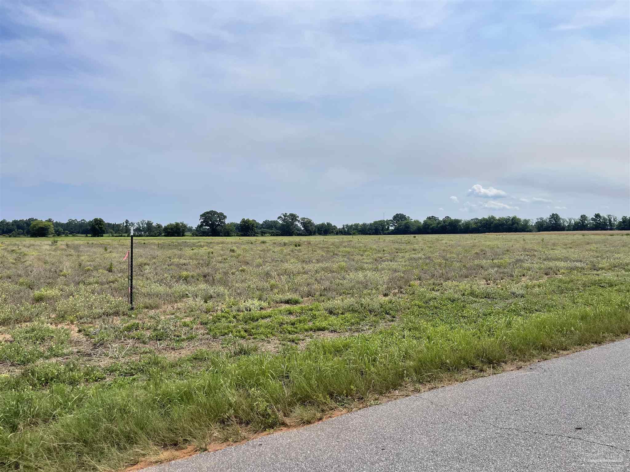 2 Shell Road Jay, FL 32565 - Photo 11 of 22 a view of a lake with houses in the back