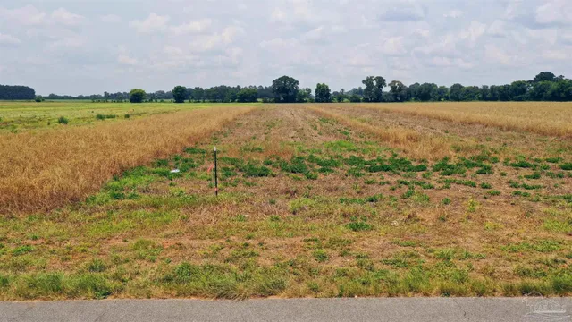 a view of a lake with houses in the back