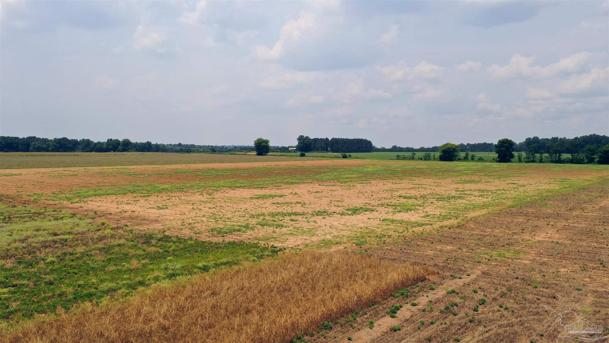 2 Shell Road Jay, FL 32565 - Photo 8 of 22 a view of an ocean and beach