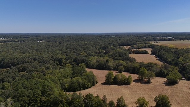 0 Cedar Grove Road Big Sandy, TN 38221 - Photo 12 of 33 an aerial view of a house with a yard