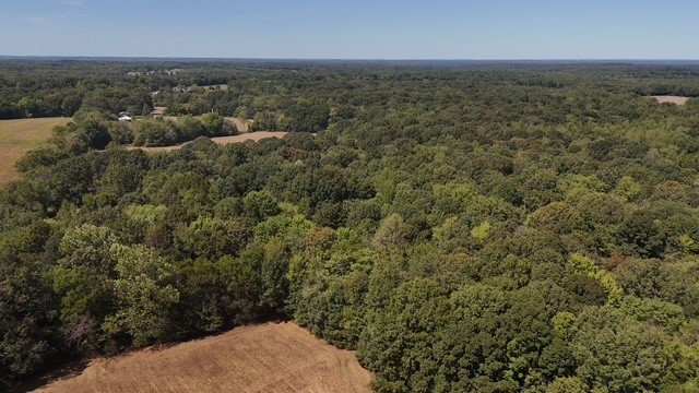 0 Cedar Grove Road Big Sandy, TN 38221 - Photo 15 of 33 an aerial view of a houses with city view