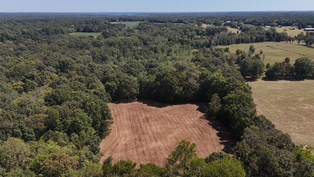0 Cedar Grove Road Big Sandy, TN 38221 - Photo 16 of 33 an aerial view of mountain with trees around