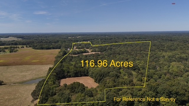 0 Cedar Grove Road Big Sandy, TN 38221 - Photo 2 of 33 a view of a field