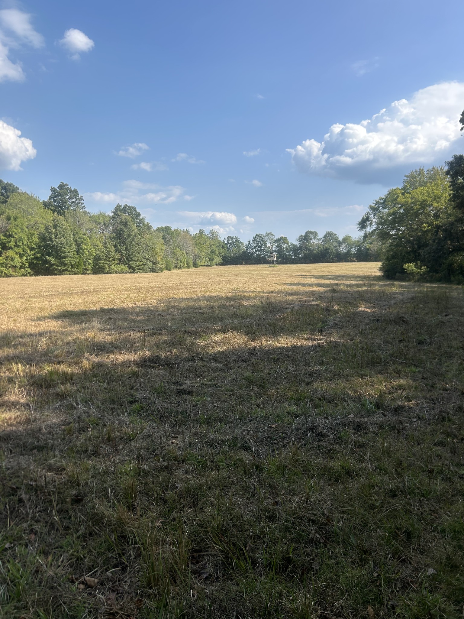 0 Cedar Grove Road Big Sandy, TN 38221 - Photo 28 of 33 a view of lake view and mountain view