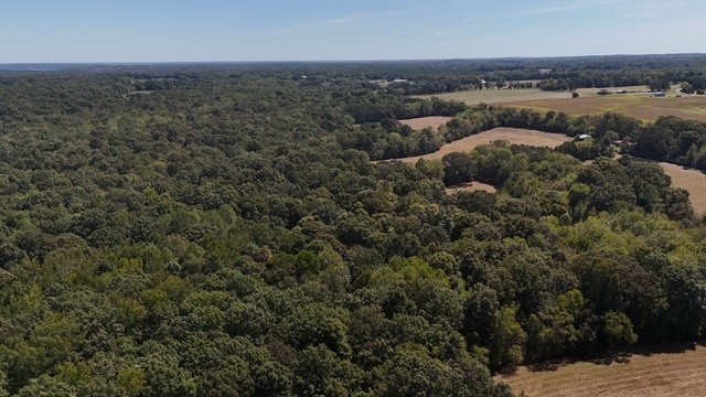 0 Cedar Grove Road Big Sandy, TN 38221 - Photo 3 of 33 an aerial view of a house with a yard
