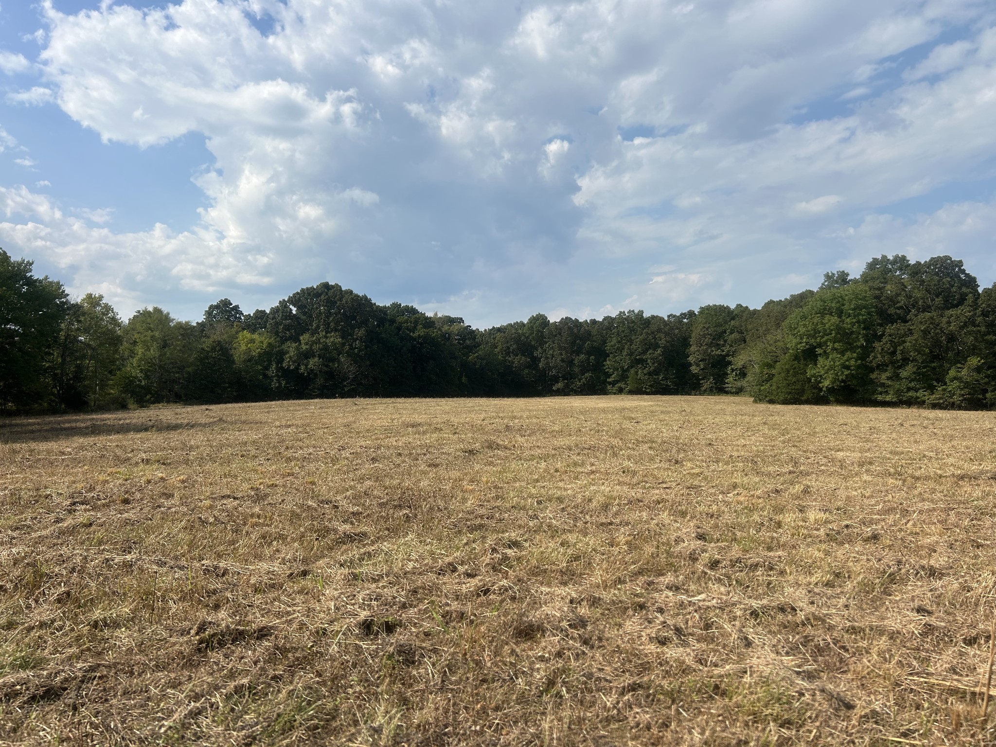 0 Cedar Grove Road Big Sandy, TN 38221 - Photo 32 of 33 a view of a lake view