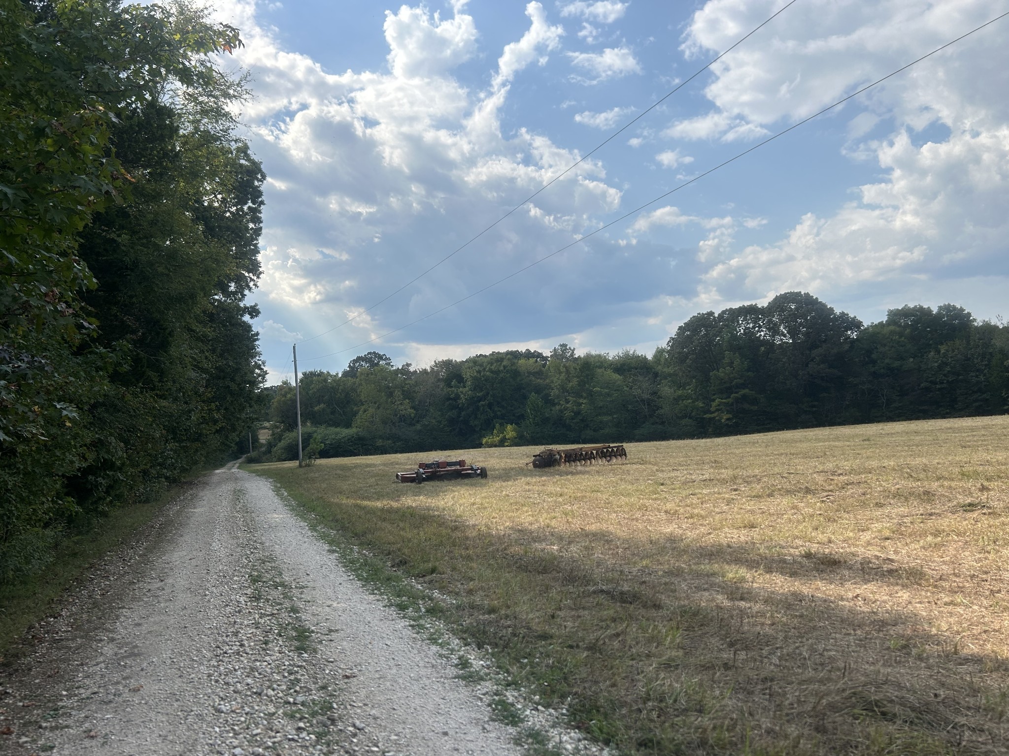 0 Cedar Grove Road Big Sandy, TN 38221 - Photo 33 of 33 a view of a dry yard with trees