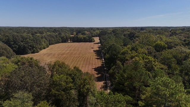 0 Cedar Grove Road Big Sandy, TN 38221 - Photo 4 of 33 a view of a dry yard with wooden fence