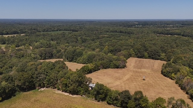 0 Cedar Grove Road Big Sandy, TN 38221 - Photo 10 of 33 a view of a dry yard with trees