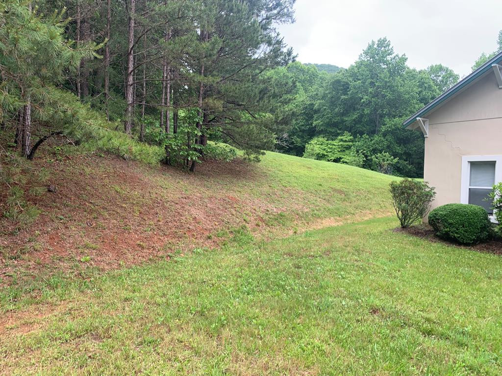 805 Bethabara Road Hayesville, NC 28904 - Photo 11 of 21