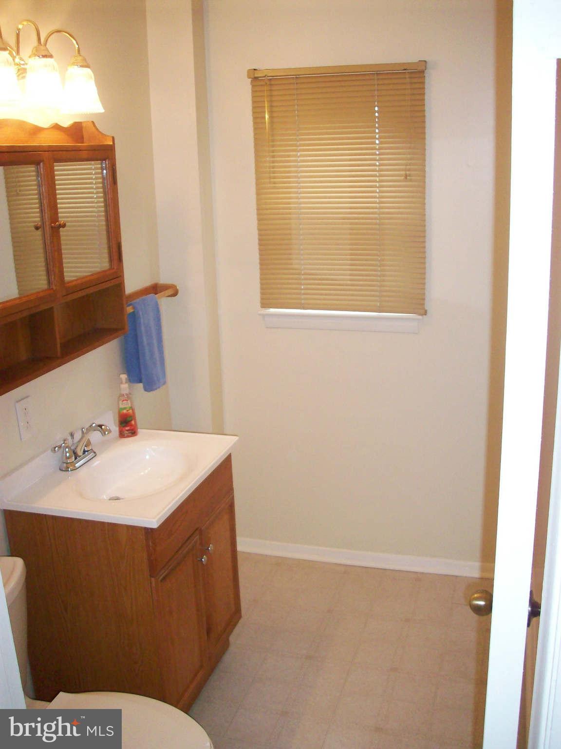 3913 Shenton Road Randallstown, MD 21133 - Photo 10 of 29 Bath