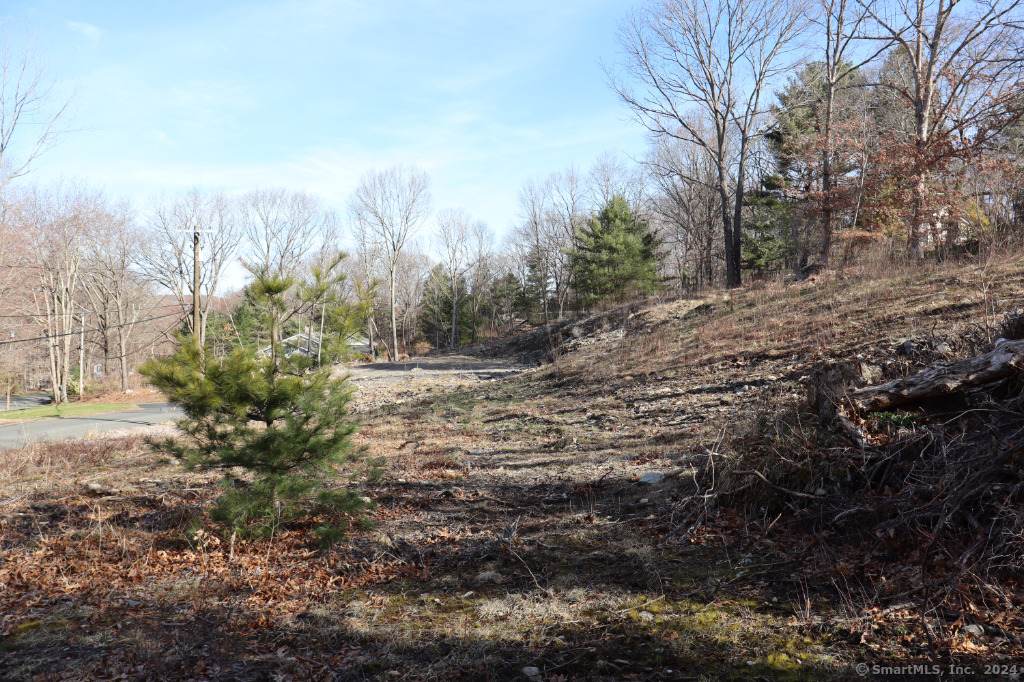 190 Blueberry Hill Road Bridgewater, CT 06752 - Photo 2 of 14