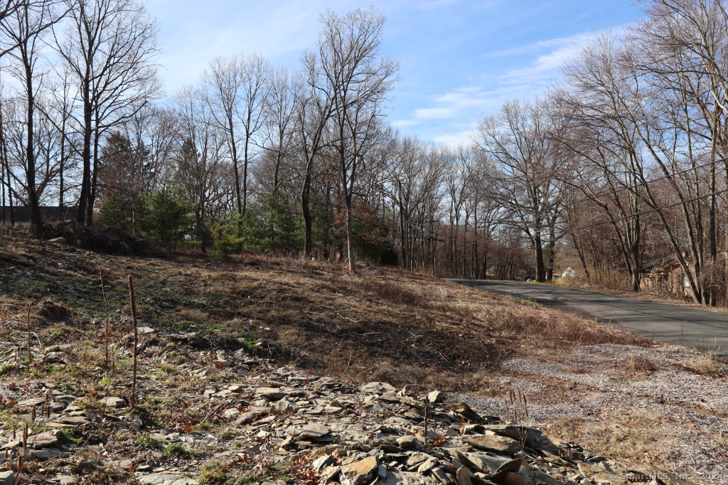 190 Blueberry Hill Road Bridgewater, CT 06752 - Photo 3 of 14