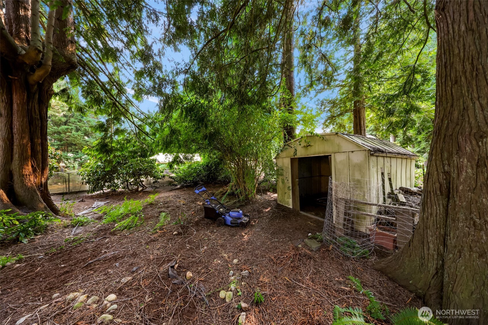 5925 Longdin Road Ferndale, WA 98248 - Photo 20 of 28 a view of a backyard with plants and large trees