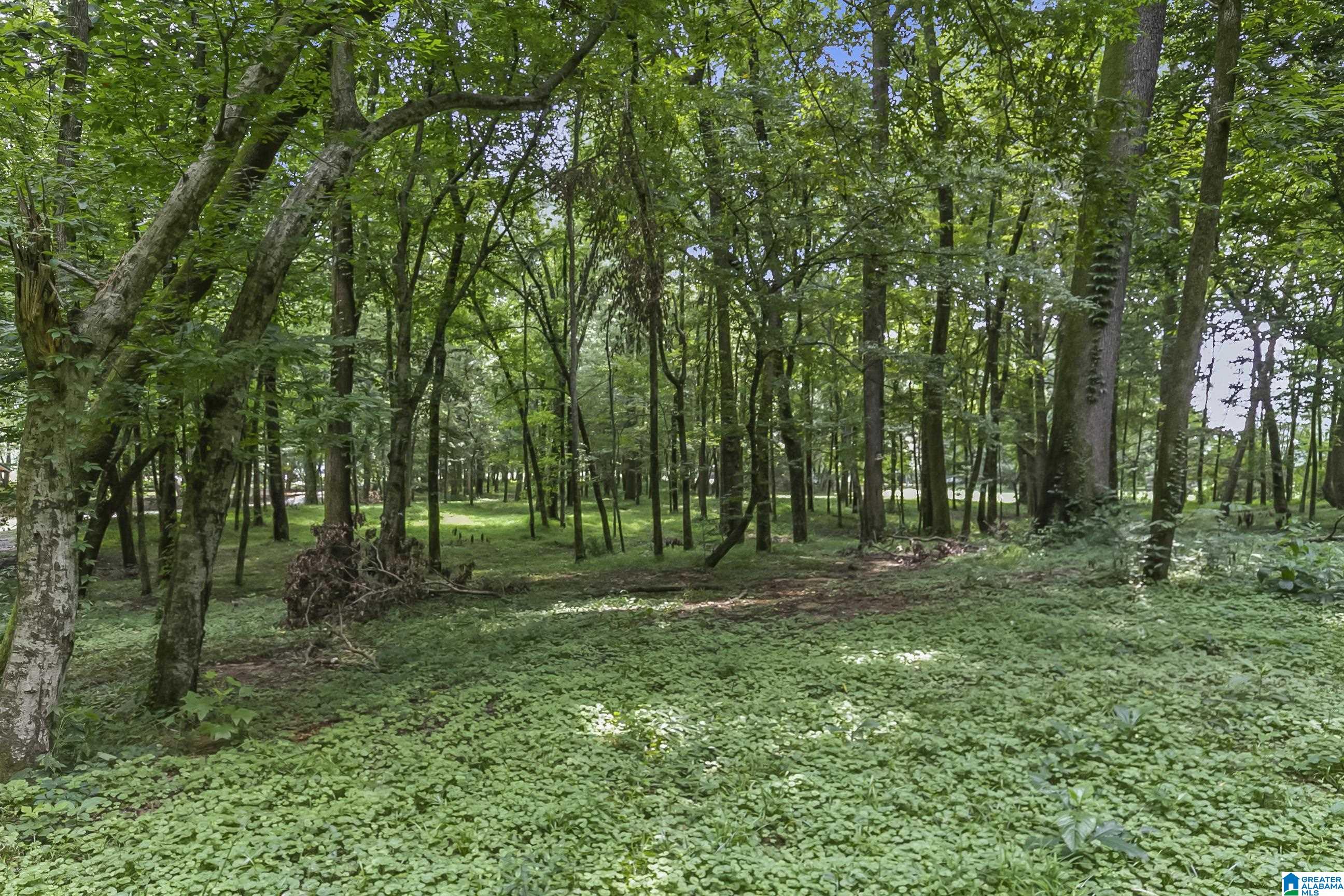 13615 Riverbend Road Moundville, AL 35474 - Photo 5 of 33