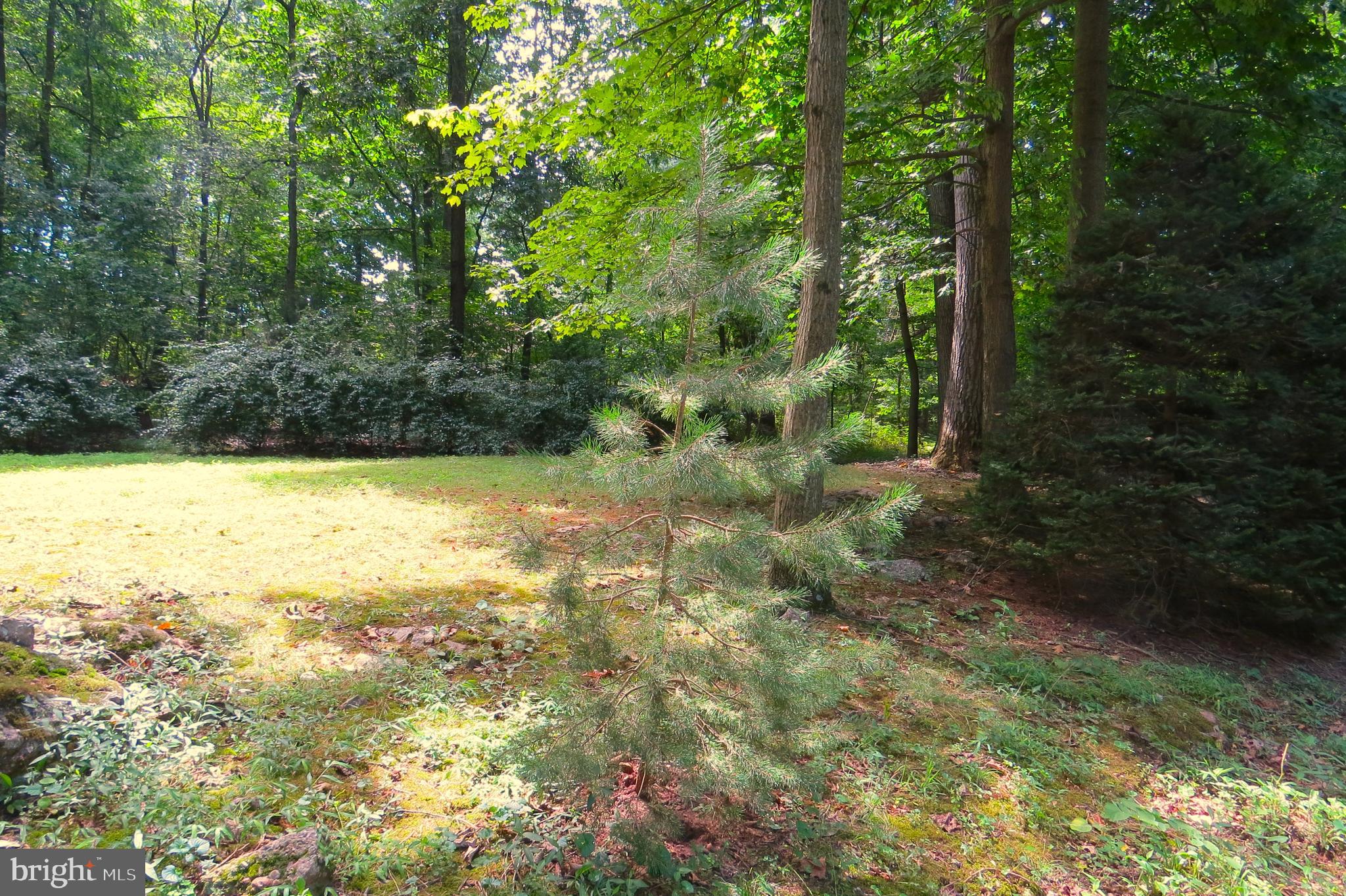 39 Forest Road Spring Grove, PA 17362 - Photo 43 of 53