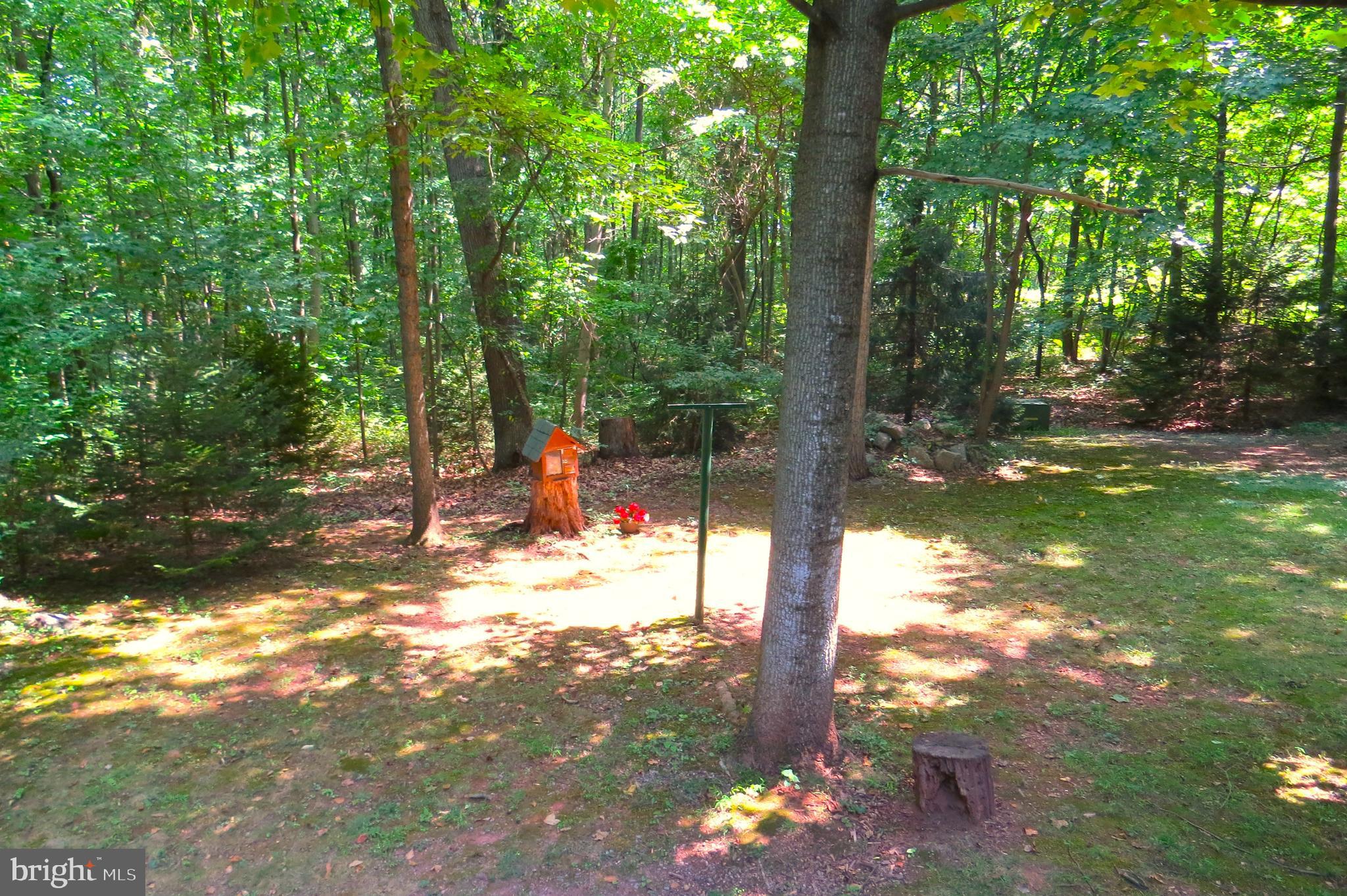 39 Forest Road Spring Grove, PA 17362 - Photo 45 of 53