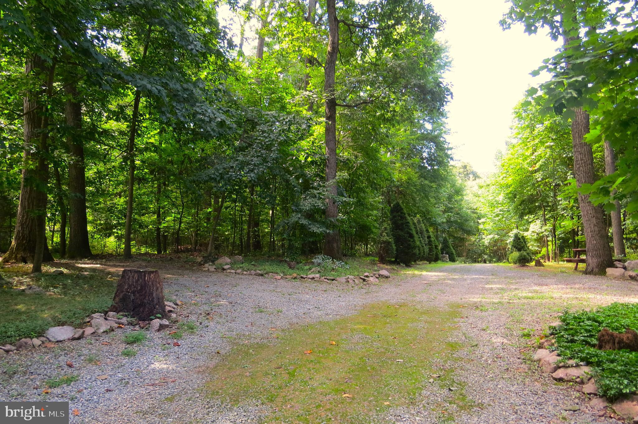 39 Forest Road Spring Grove, PA 17362 - Photo 47 of 53