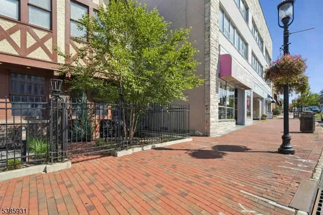 a street view with tall buildings and a tree