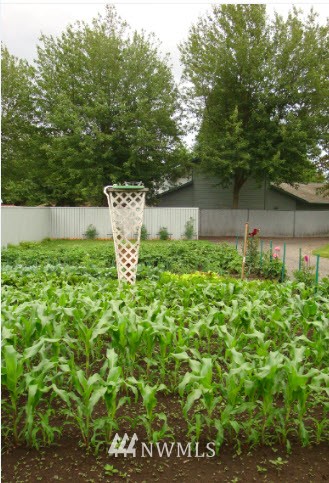 1804 Golf Club Road Southeast Lacey, WA 98503 - Photo 8 of 22 Gallery Image 8