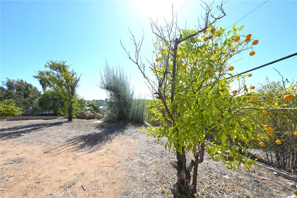 127 East College Street Fallbrook, CA 92028 - Photo 31 of 58