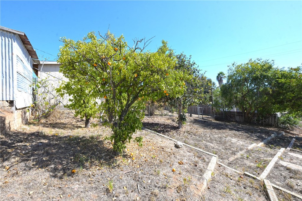 127 East College Street Fallbrook, CA 92028 - Photo 37 of 58 a view of a yard with plants and trees
