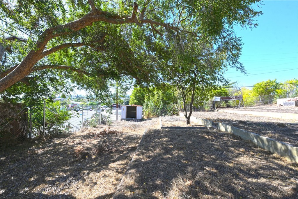 127 East College Street Fallbrook, CA 92028 - Photo 39 of 58 a road view with large trees
