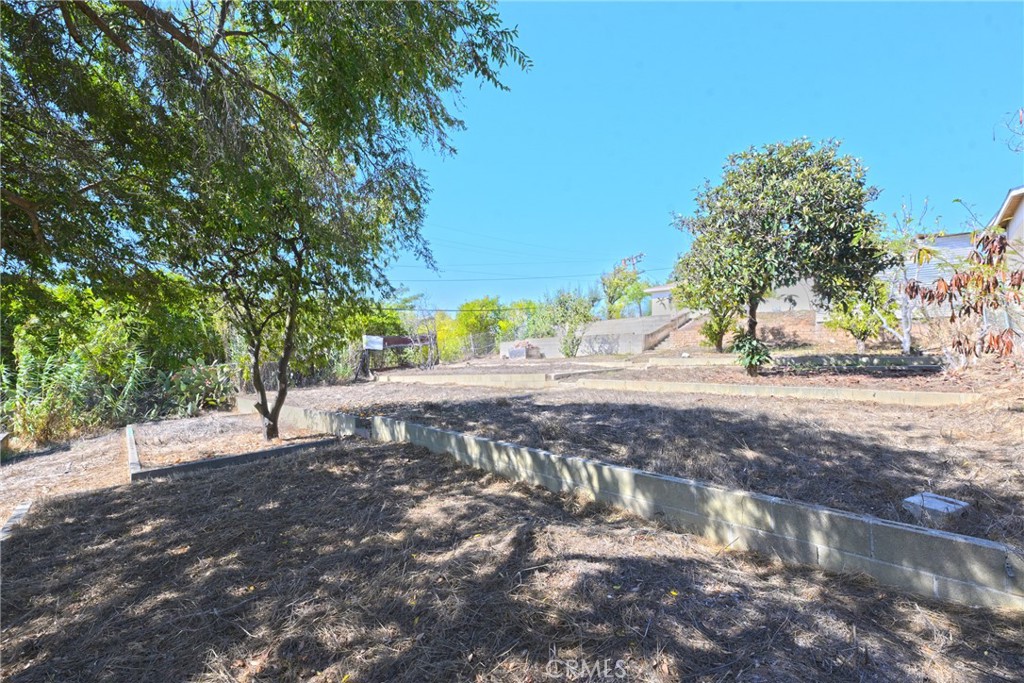 127 East College Street Fallbrook, CA 92028 - Photo 40 of 58 a view of a yard with plants and trees