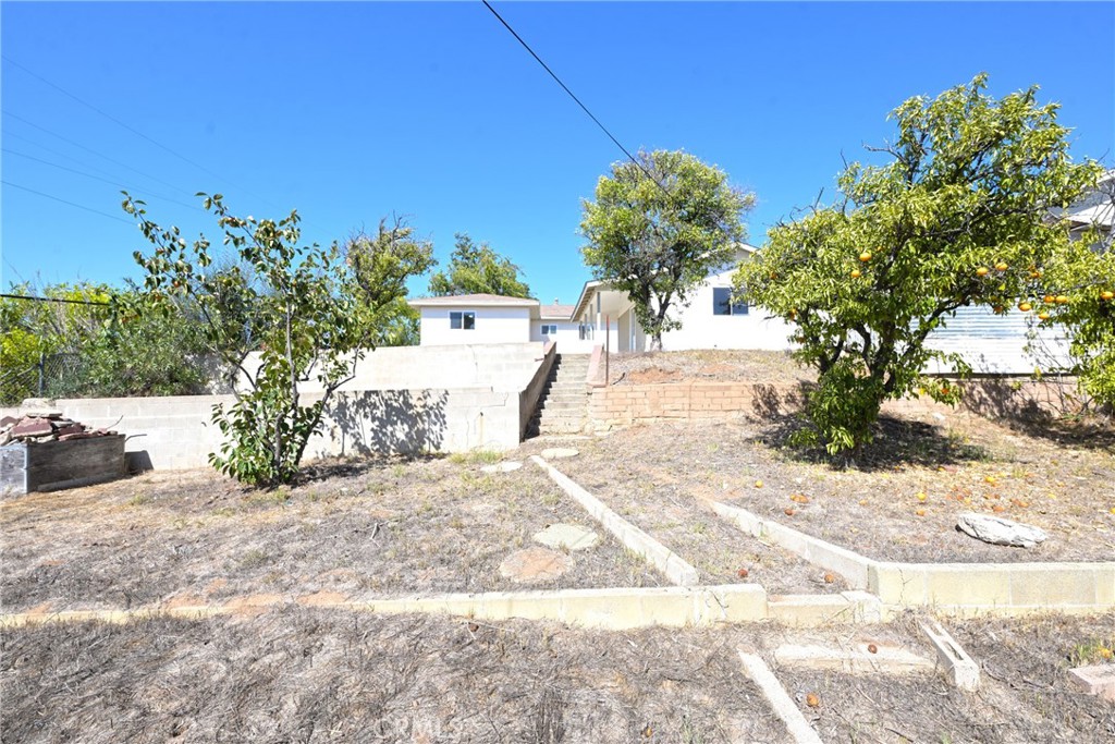 127 East College Street Fallbrook, CA 92028 - Photo 41 of 58 a view of a yard with plants and a bench