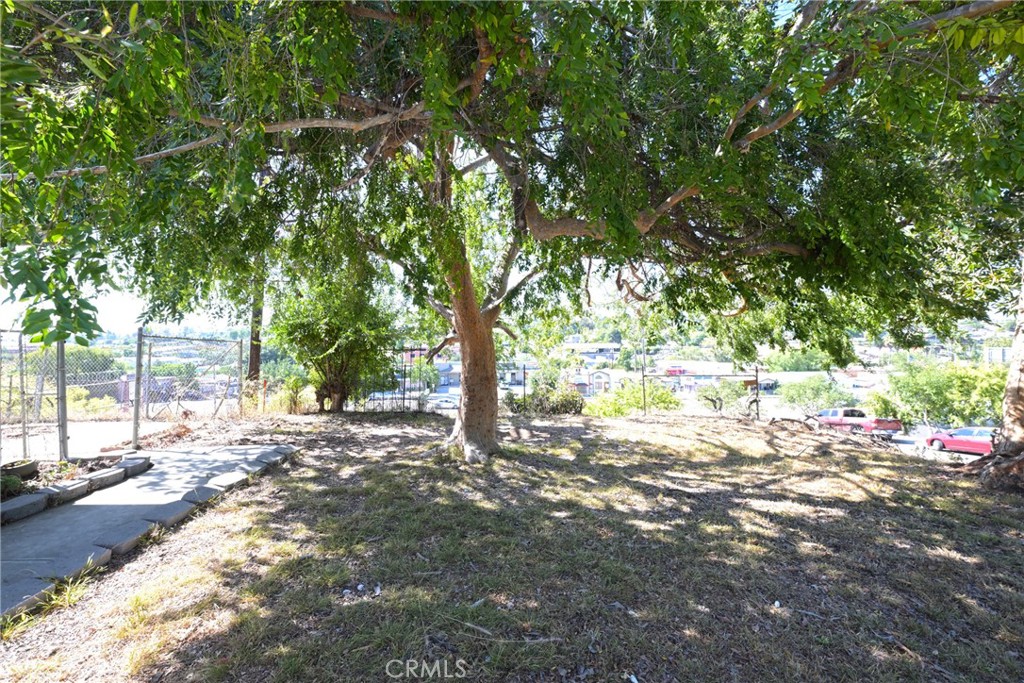 127 East College Street Fallbrook, CA 92028 - Photo 6 of 58 a view of a yard with plants and large trees