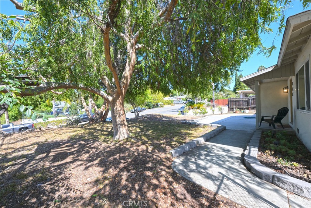 127 East College Street Fallbrook, CA 92028 - Photo 7 of 58 a view of a street with a tree