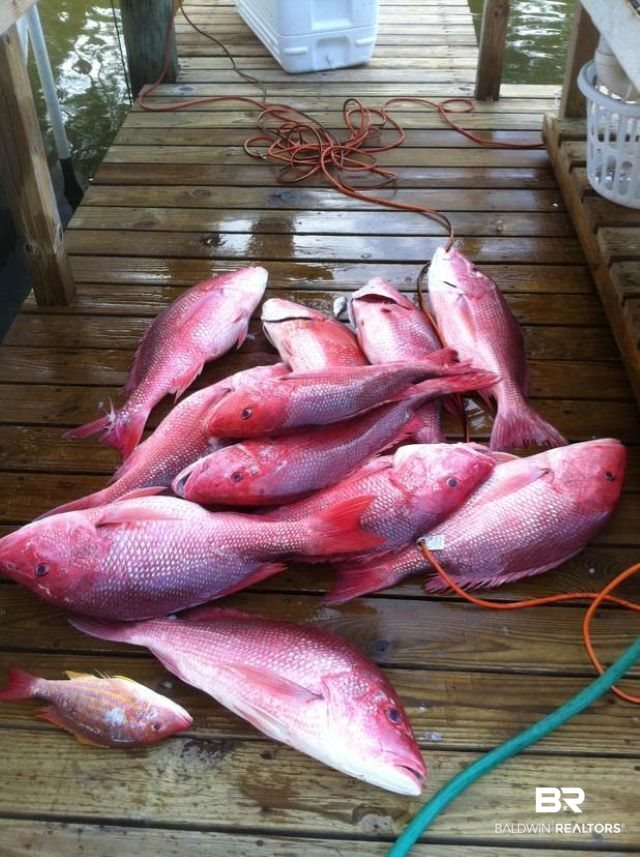 3136 Cumberland Road Theodore, AL 36582 - Photo 47 of 50 Red snapper outing! Just minutes away from fishing