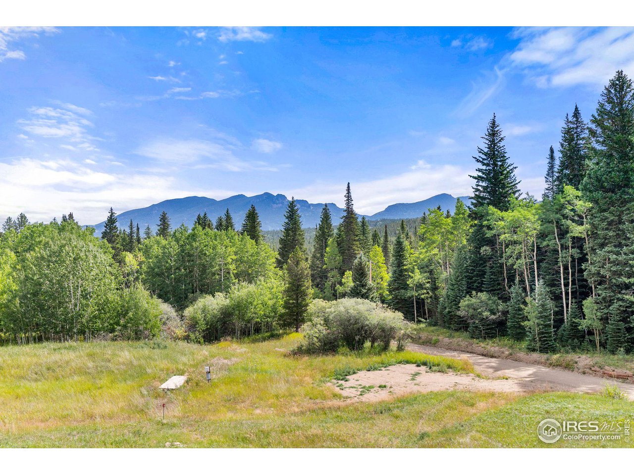 2833 Lump Gulch Road Black Hawk, CO 80422 - Photo 3 of 40 a view of a yard