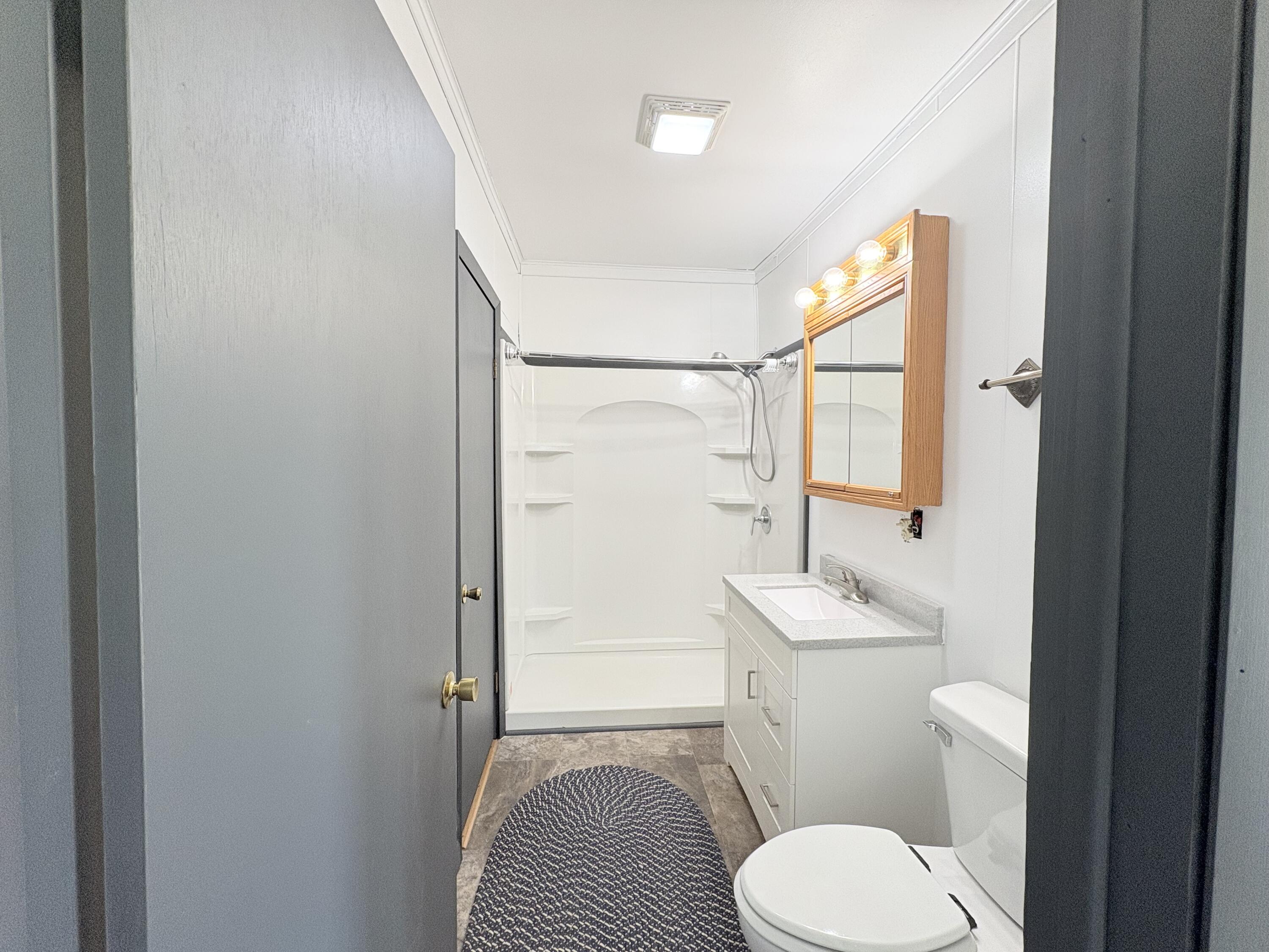 4925 Mt Hope Road South Carson City, MI 48811 - Photo 13 of 23 bathroom