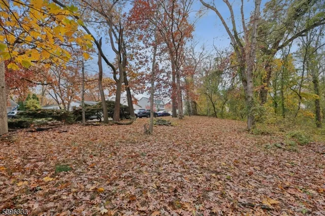 a view of outdoor space yard