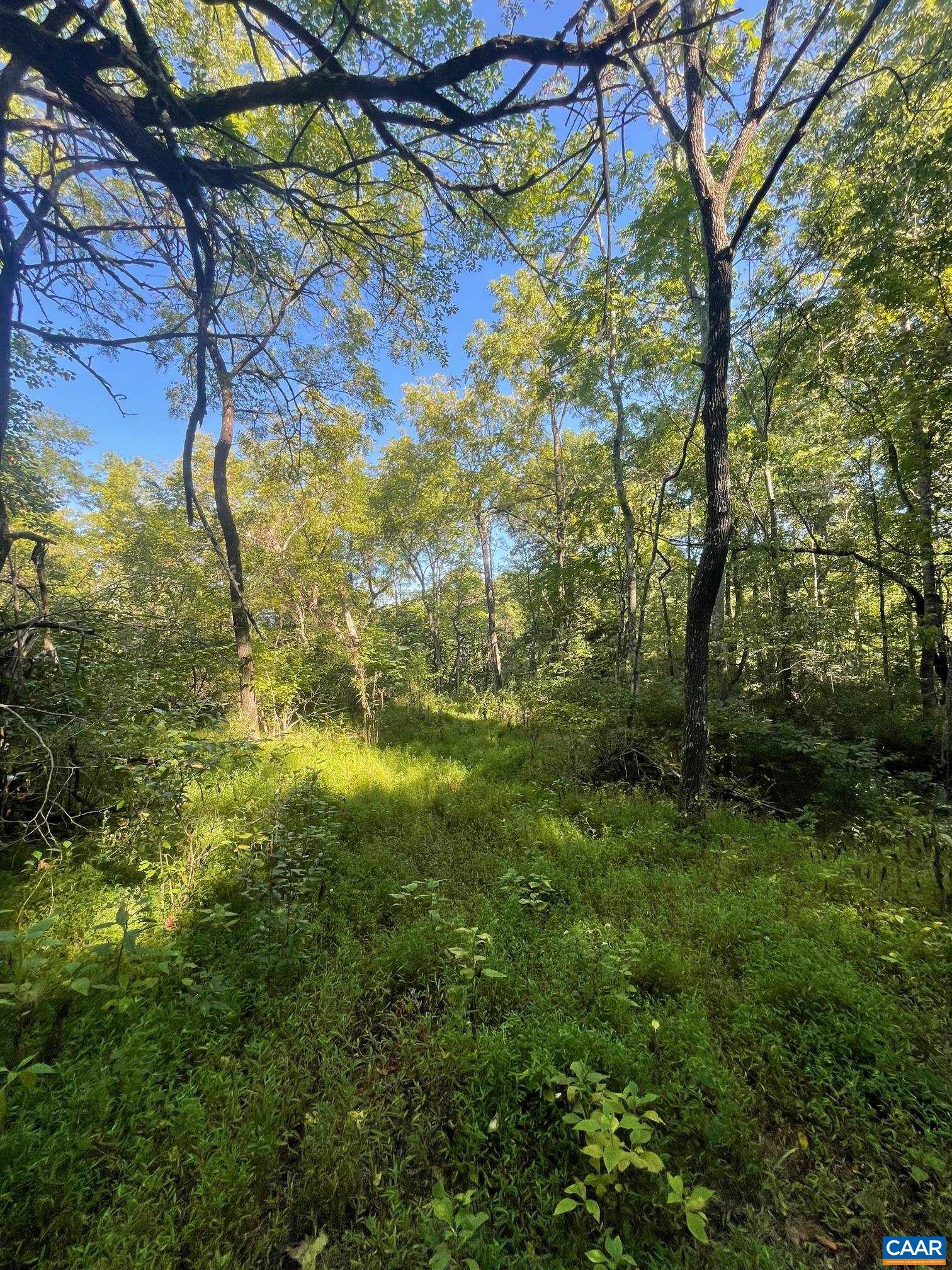 Tbd Stony Point Pass Charlottesville, VA 22911 - Photo 4 of 7 a view of yard with green space