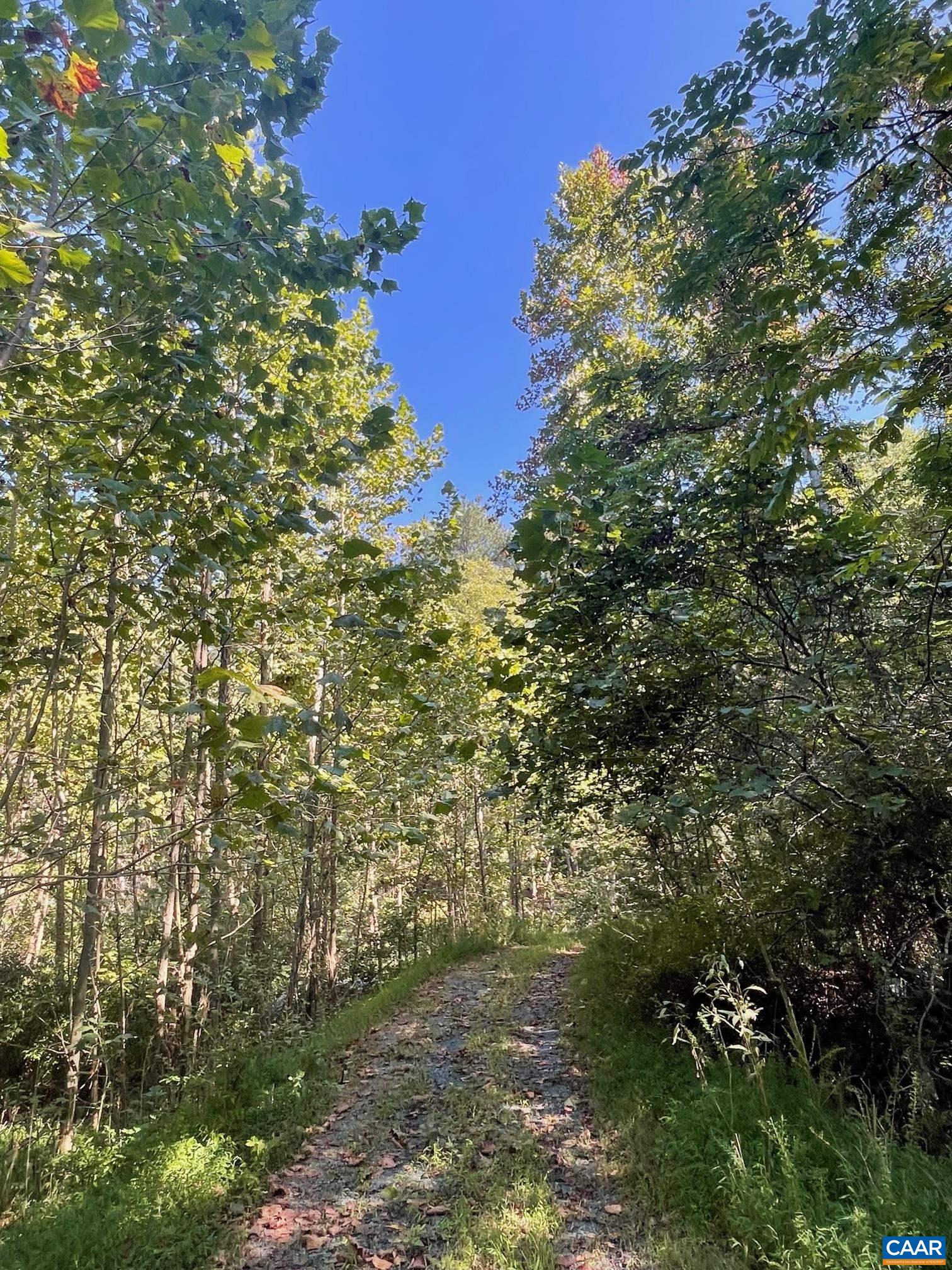 Tbd Stony Point Pass Charlottesville, VA 22911 - Photo 7 of 7 a view of a house with a tree