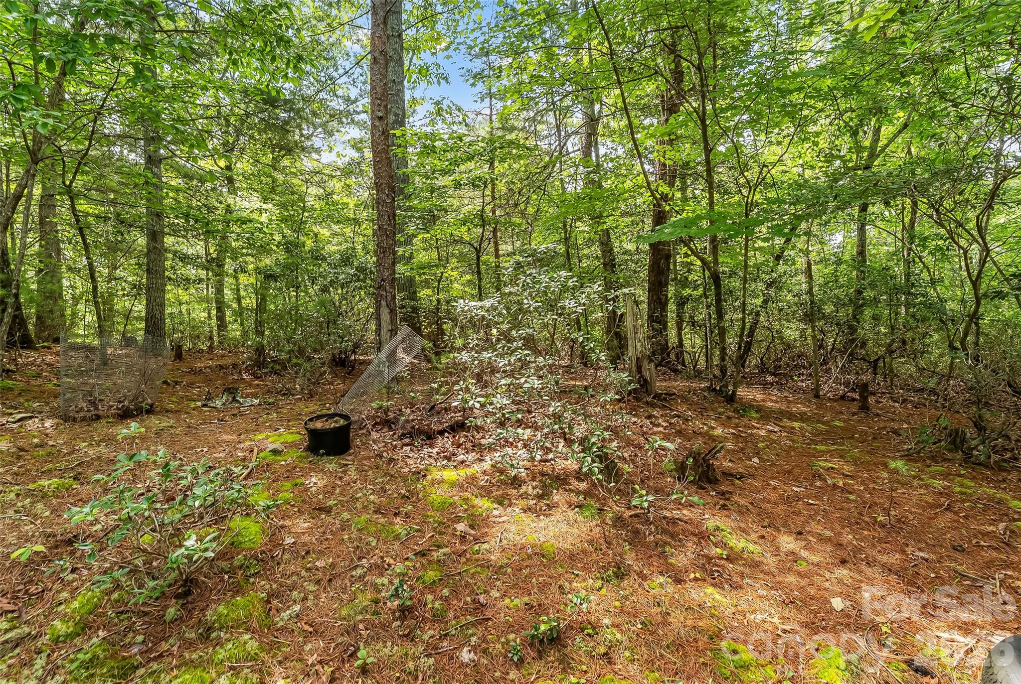2040 Hampson Road Morganton, NC 28655 - Photo 9 of 14