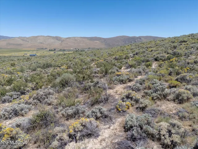 a view of a large mountain with lots of trees in it