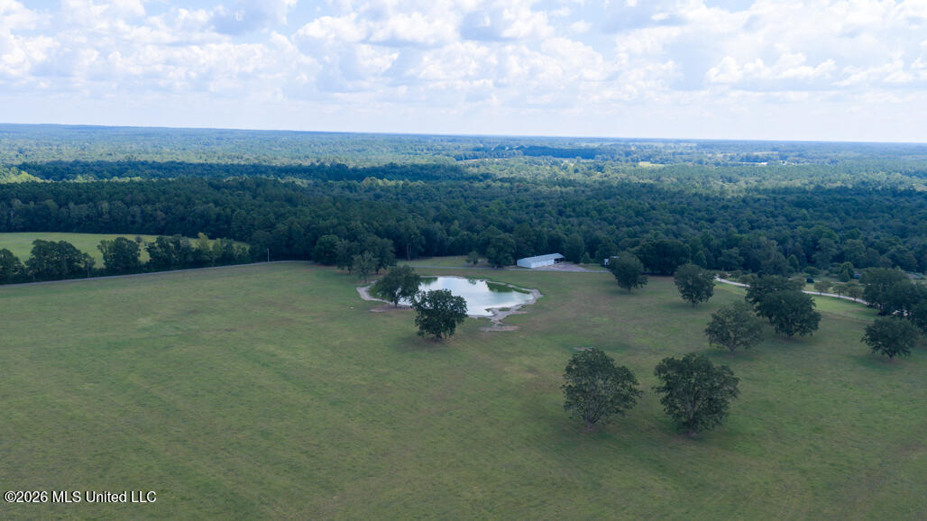 164 Lott Cemetary Road Perkinston, MS 39573 - Photo 44 of 68 pic-14