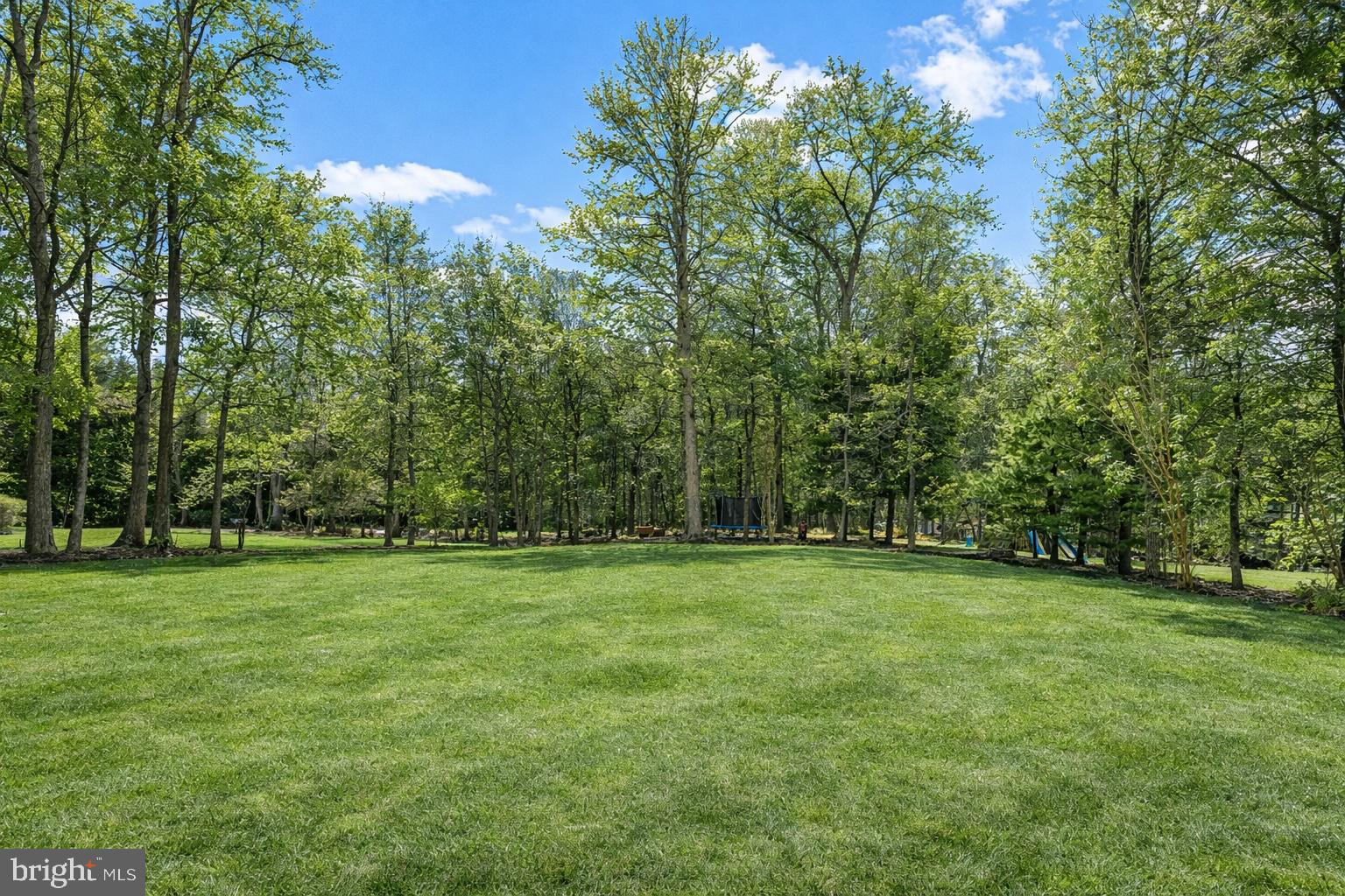 3257 Pony Ridge Way Oakton, VA 22124 - Photo 56 of 67 Digitally enhanced photo showcasing the trees