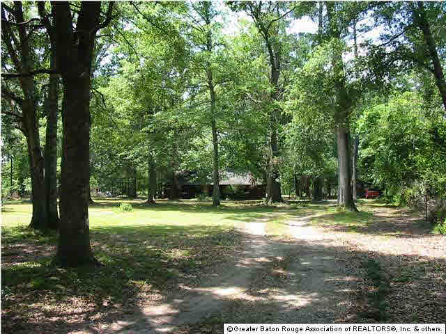 38771 Hess Road Denham Springs, LA 70706 - Photo 2 of 12