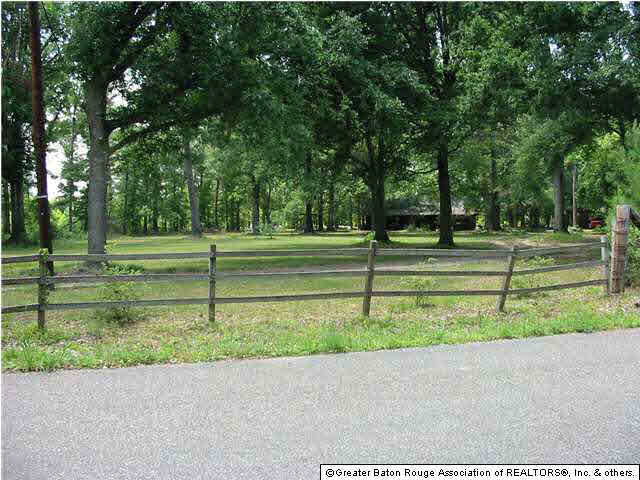 38771 Hess Road Denham Springs, LA 70706 - Photo 5 of 12