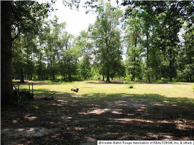 38771 Hess Road Denham Springs, LA 70706 - Photo 7 of 12
