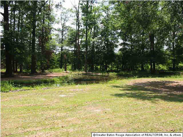 38771 Hess Road Denham Springs, LA 70706 - Photo 8 of 12
