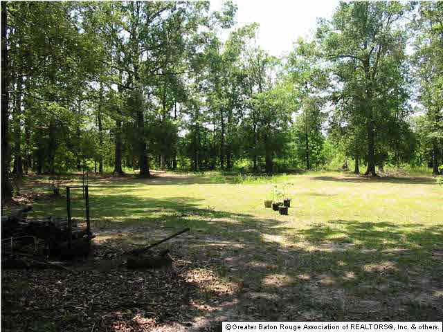 38771 Hess Road Denham Springs, LA 70706 - Photo 10 of 12