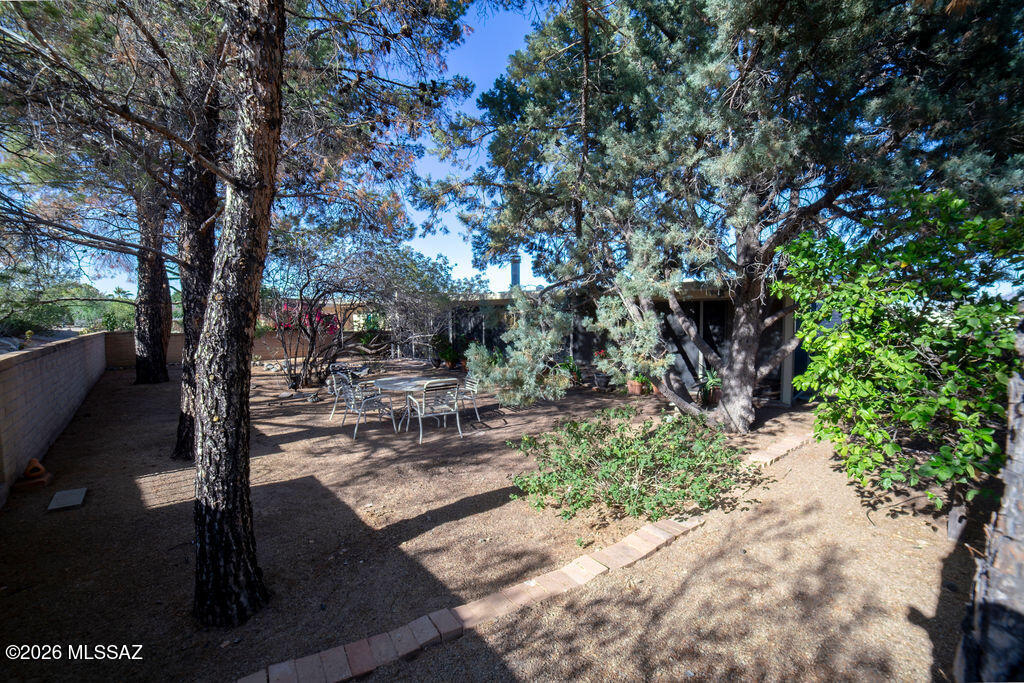 1595 North Rio Mayo Green Valley, AZ 85614 - Photo 22 of 24 Backyard