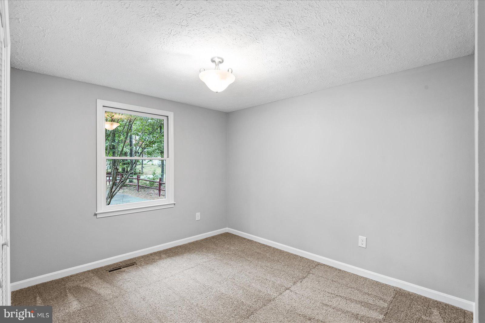 681 Welsh Drive Ruther Glen, VA 22546 - Photo 15 of 46