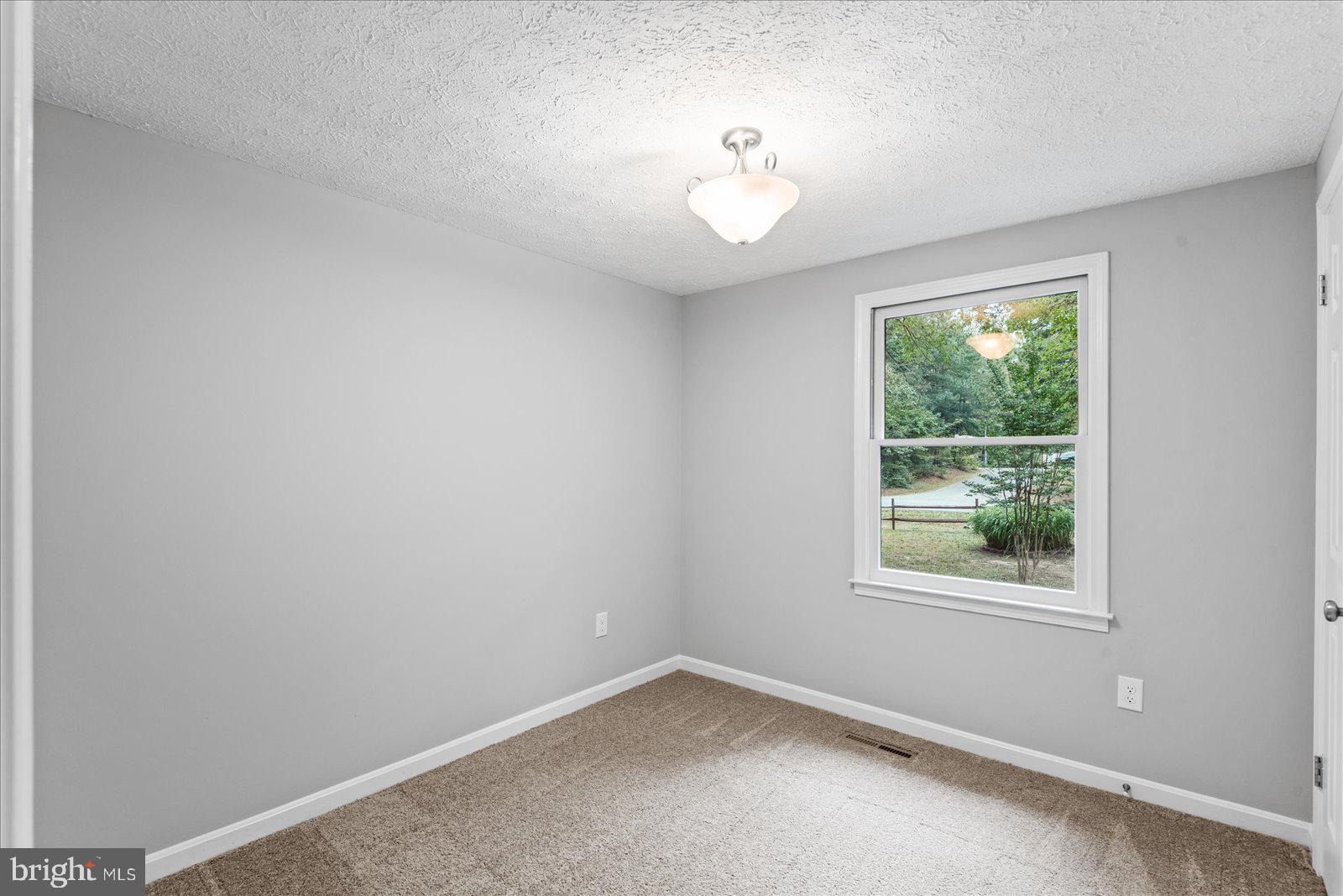 681 Welsh Drive Ruther Glen, VA 22546 - Photo 16 of 46